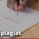 grafic-antiplagiat-iulie
