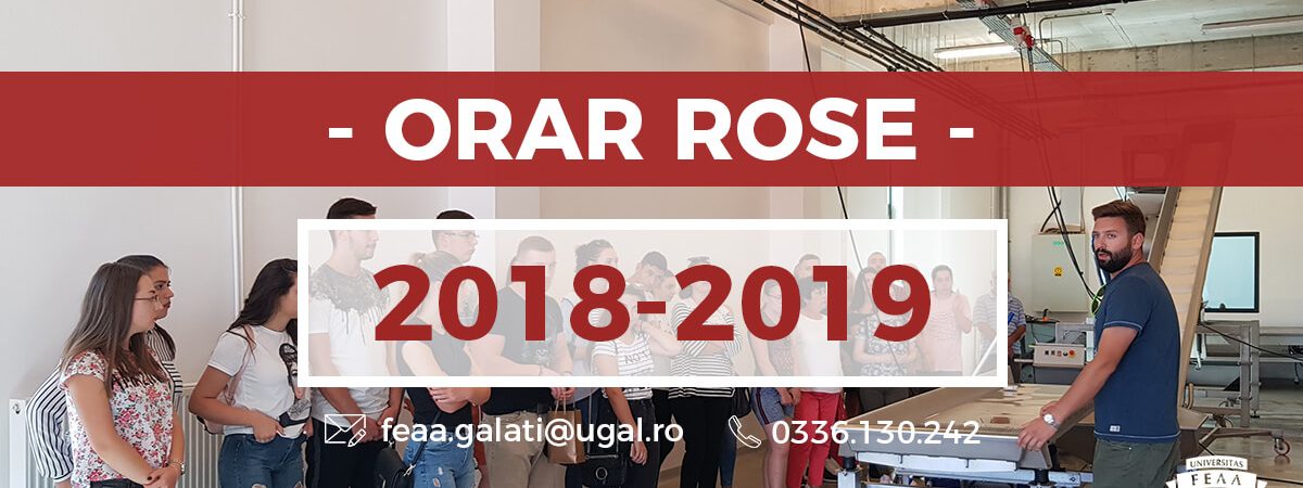 vizita de studiu rose