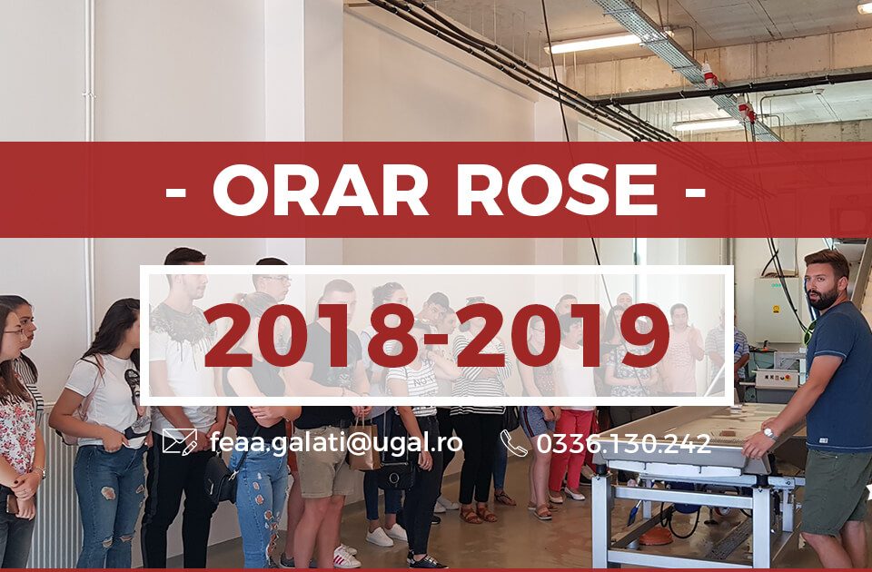 vizita de studiu rose